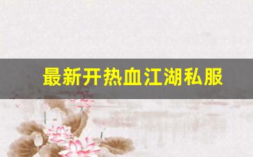 热血江湖新开区：最新开热血江湖私服 (15)